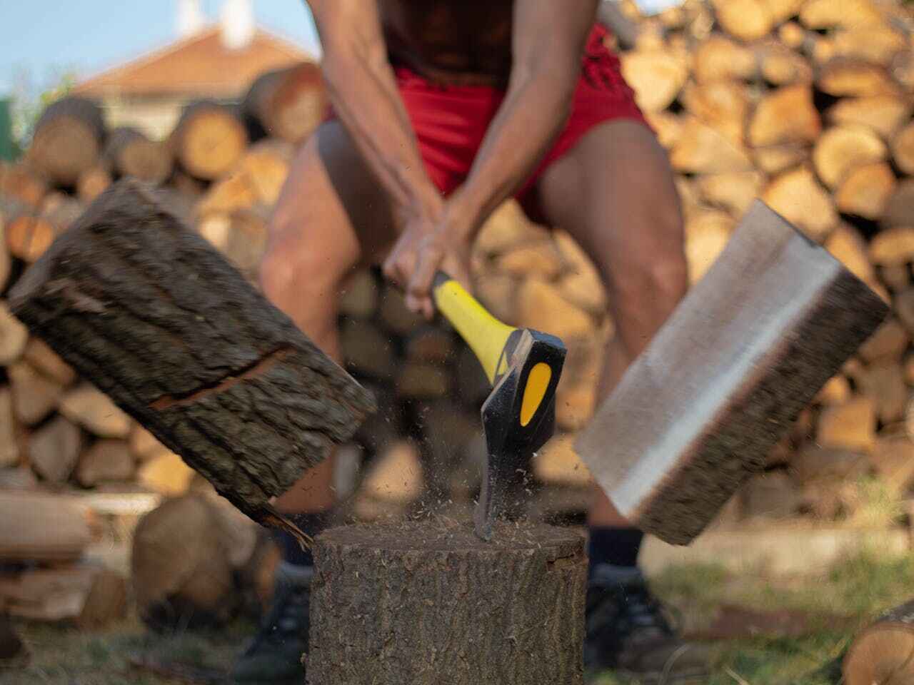 Tree Root Removal in Knox, PA